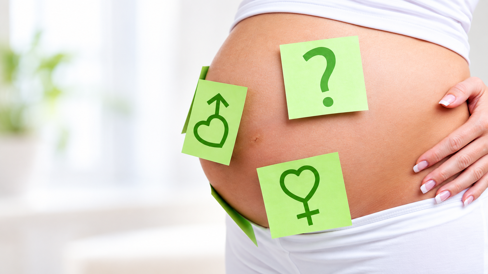 Fille ou garçon – détermination du sexe du bébé dès 14 semaines chez Echografilm Paris